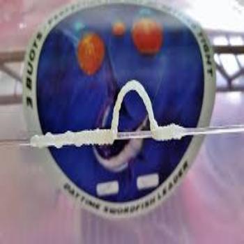 3 Buoys Loop Daytime 150ft Swordfish Leader JB Tackle