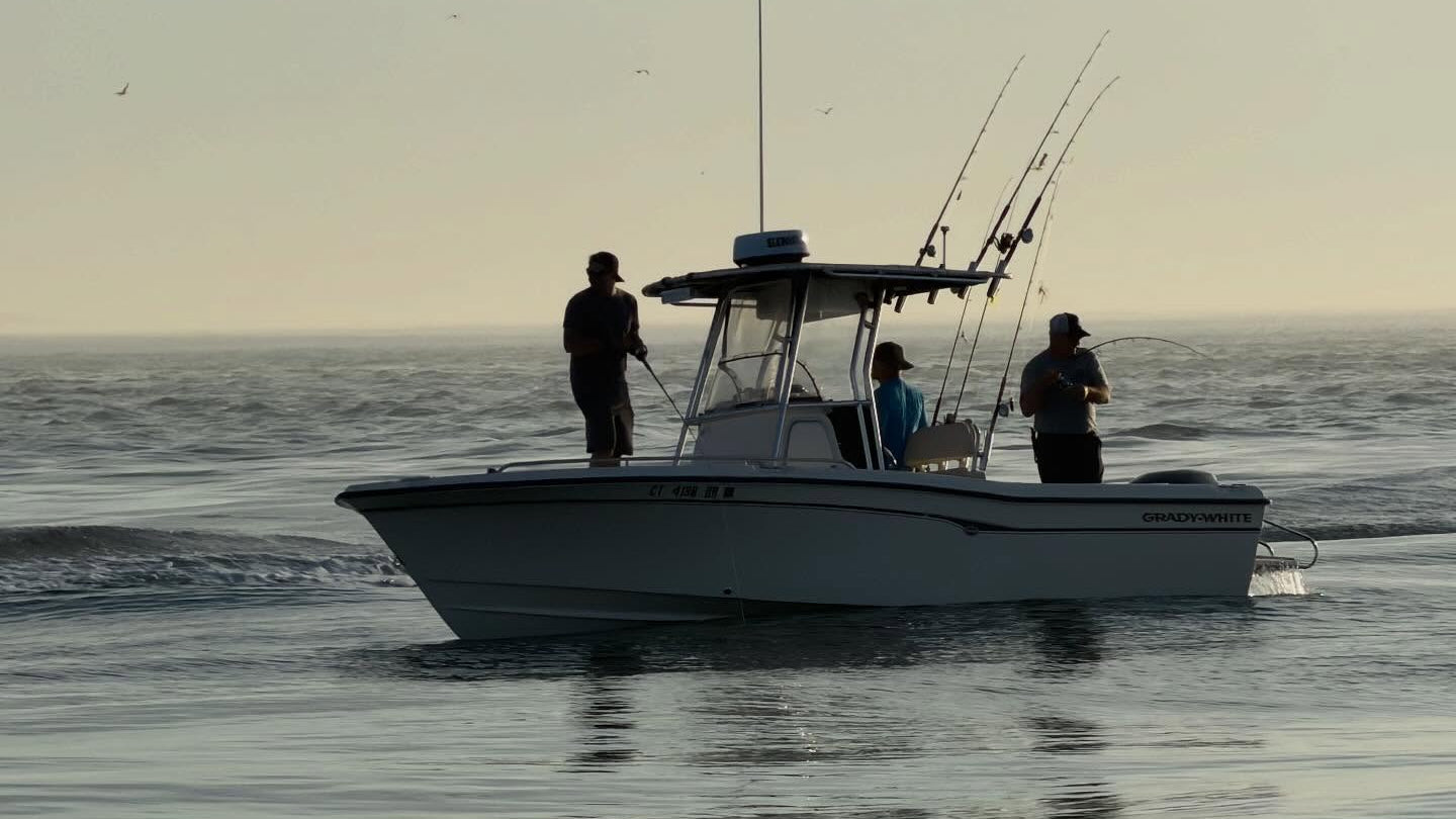 Connecticut Fishing Report: Striped Bass Action Stays Strong, Fluke Improve & Tuna Season Begins