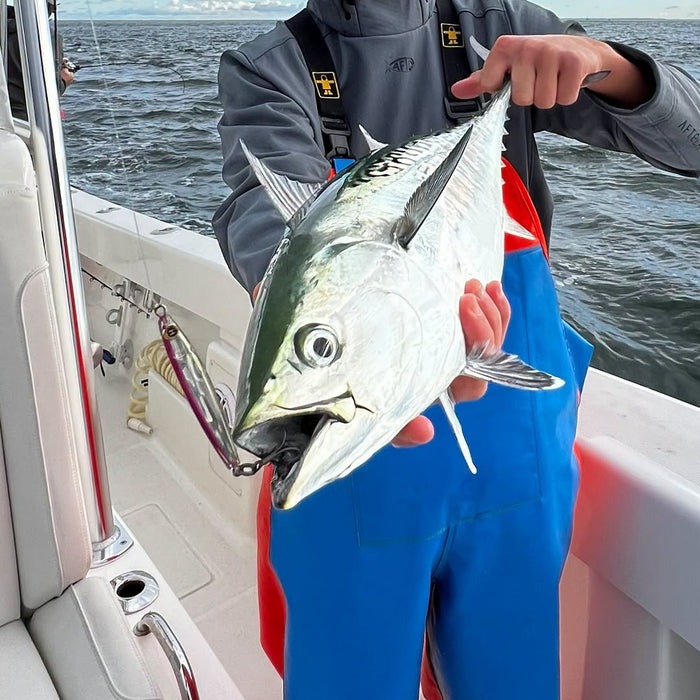 Connecticut Fishing Report: Bluefish Arrive, Bonito Stay Active & Bluefin Bite Remains Challenging