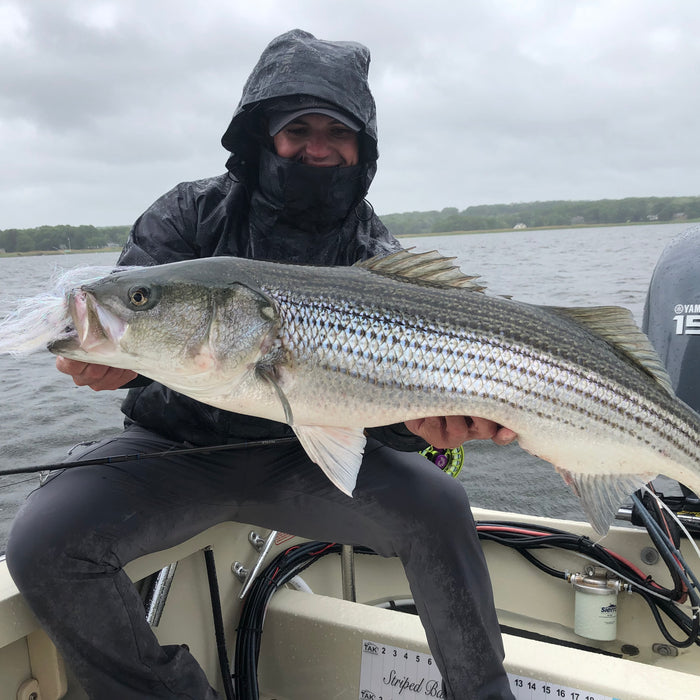 Memorial Day Weekend