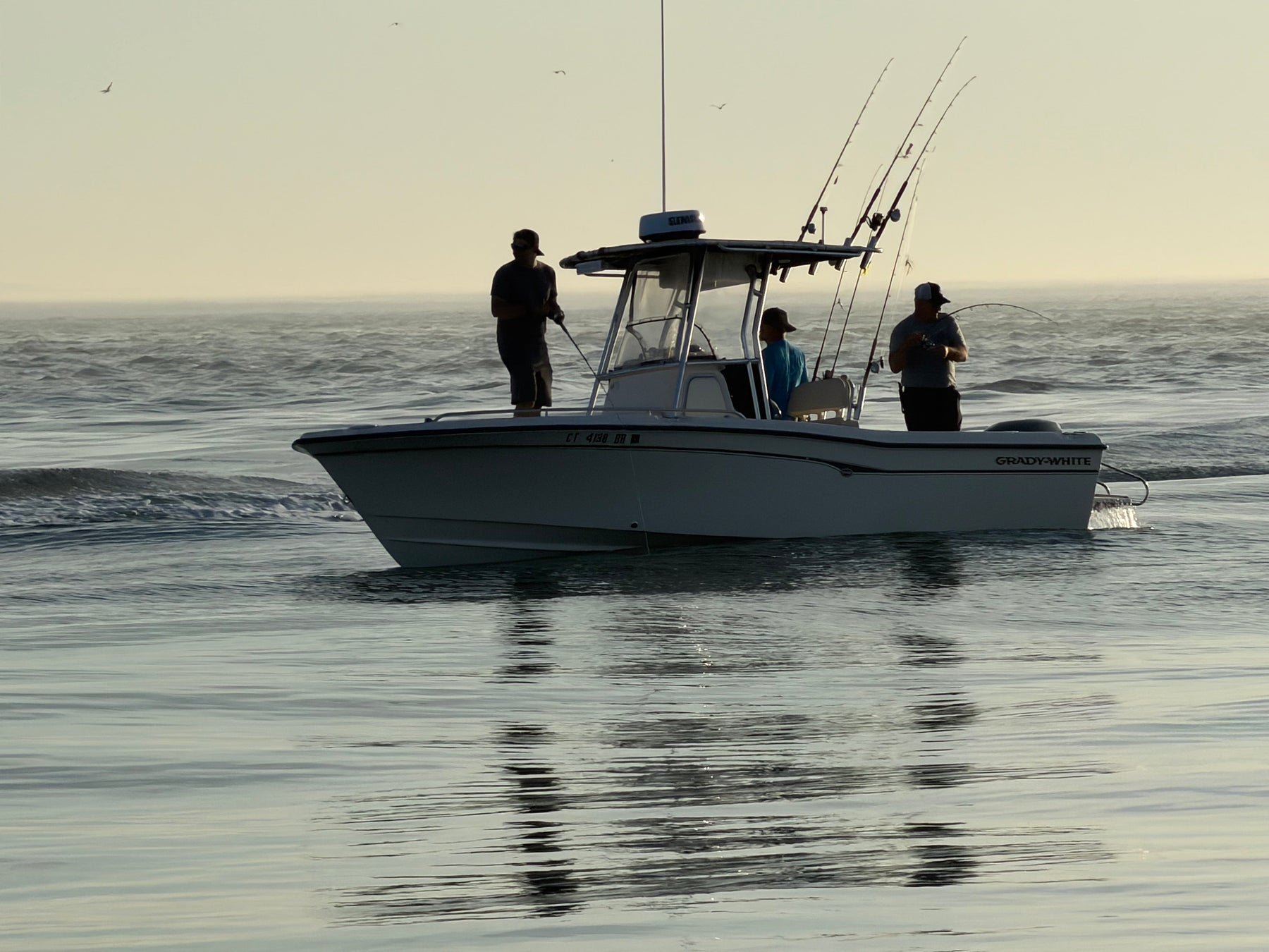 Connecticut Fishing Report: Trophy Striped Bass, Fluke & Post-Spawn Largemouth Bass Update