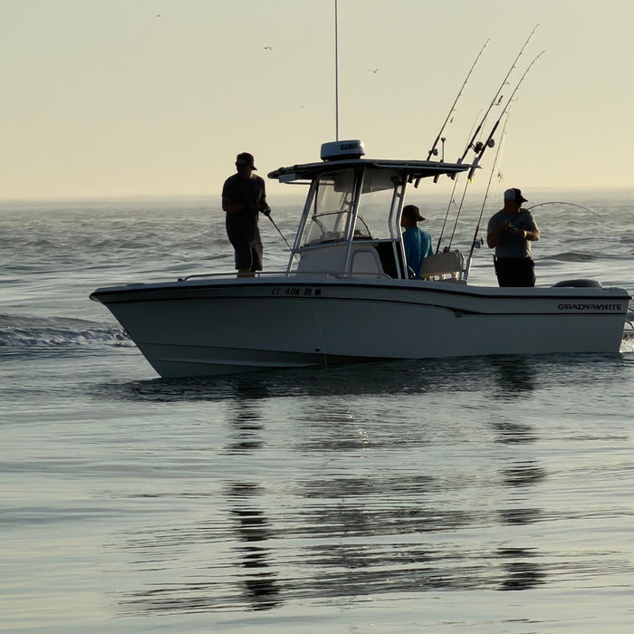 Connecticut Fishing Report: Trophy Striped Bass, Fluke & Post-Spawn Largemouth Bass Update