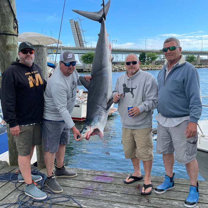 Tunas in the Gully/Niantic Sharkweek