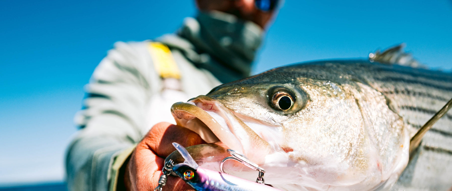 Connecticut Fishing Report: Striped Bass Stay Strong, Fluke Improve & Bluefin Tuna Bite Picks Up