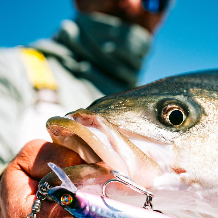 Connecticut Fishing Report: Striped Bass Stay Strong, Fluke Improve & Bluefin Tuna Bite Picks Up