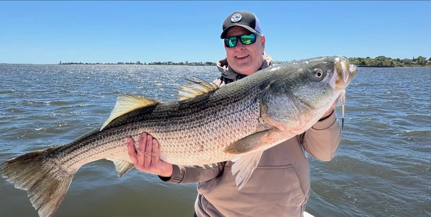 Connecticut Fishing Report – Striped Bass, Fluke & Largemouth Bass Update