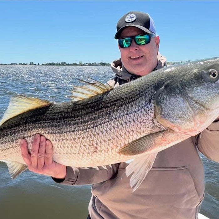 Connecticut Fishing Report – Striped Bass, Fluke & Largemouth Bass Update