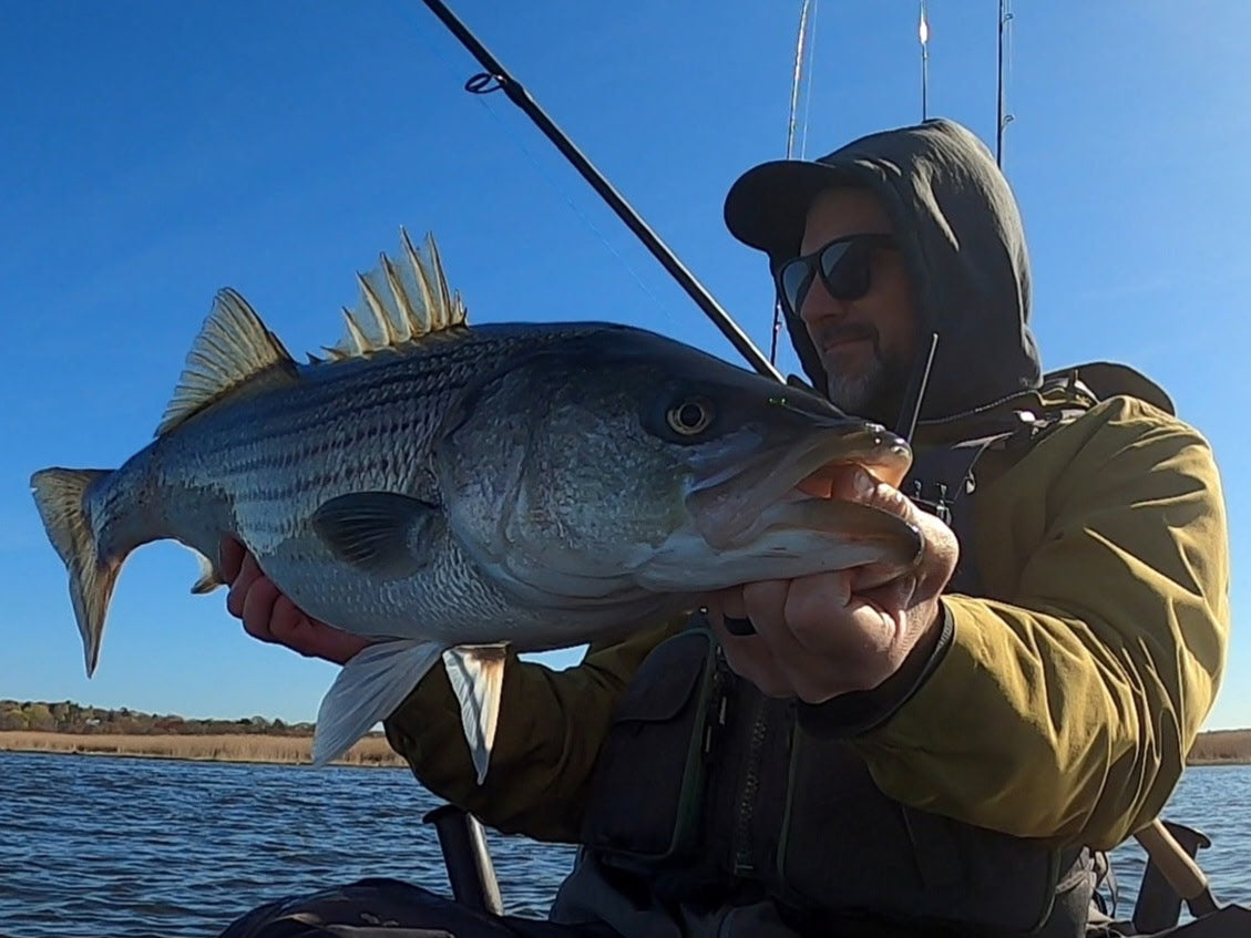 Early Spring Migration Update