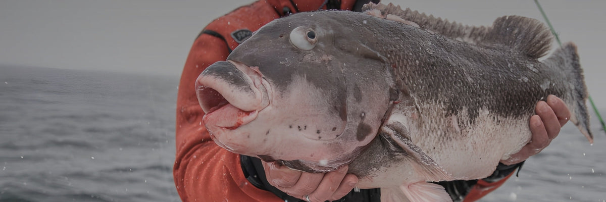 Blackfish Fishing | Tautog Rigs, Jigs & Tackle