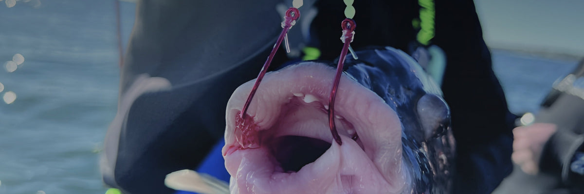 Blackfish Rigs