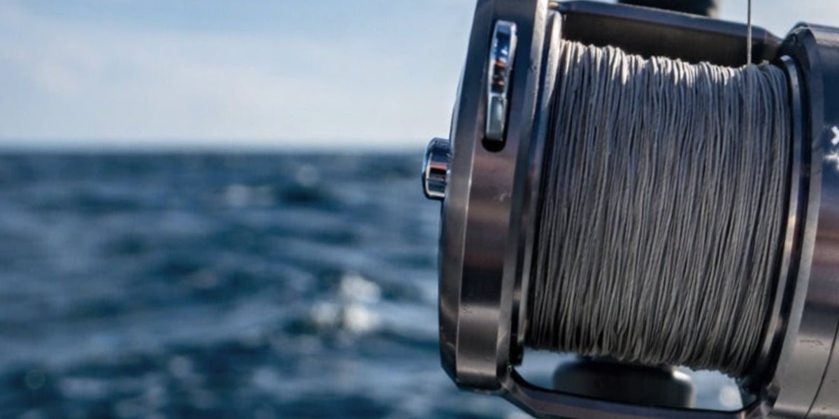 Conventional Fishing Reels | J&B Tackle Co.