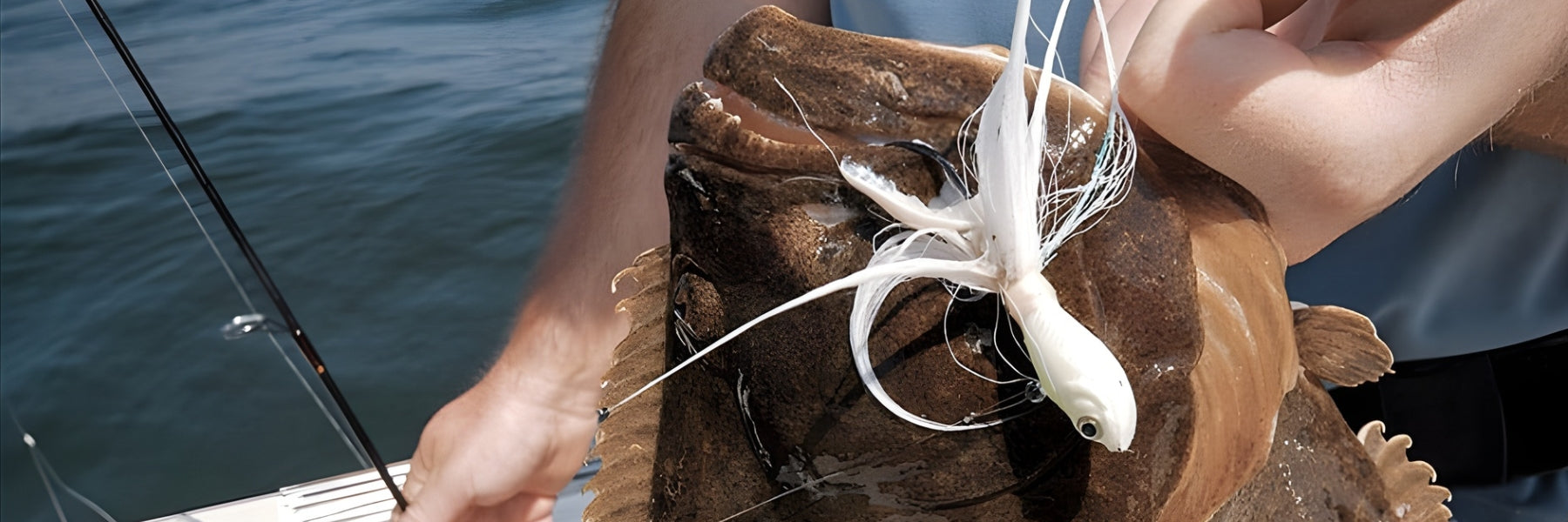 Fluke Fishing