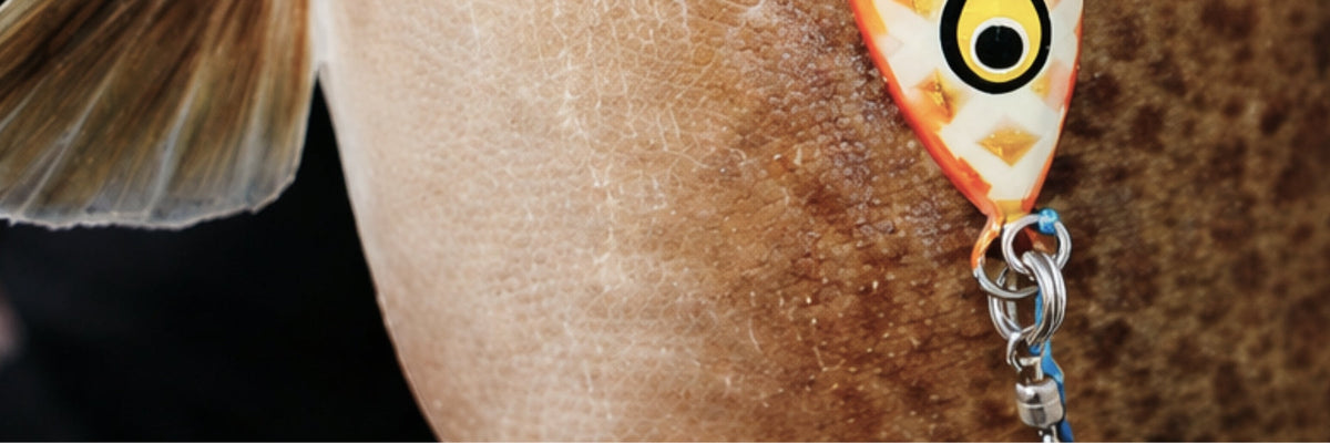 Split Solid Split & Solid Rings | J&B Tackle Co.