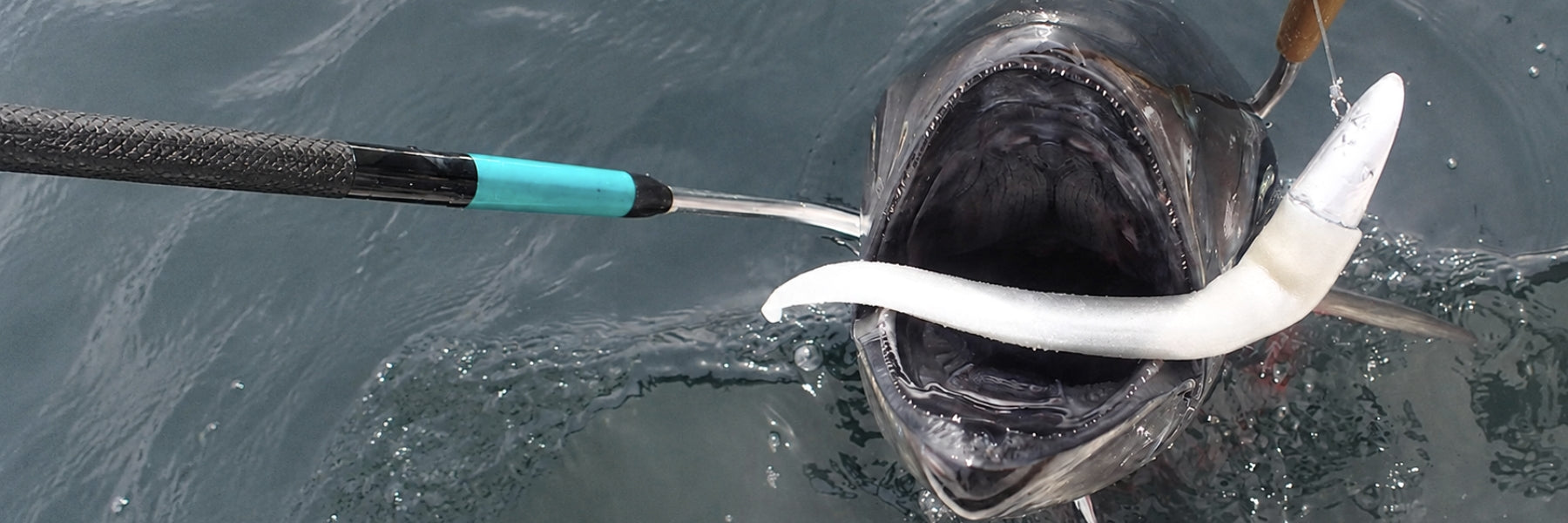 Tuna-Grade Soft Plastics