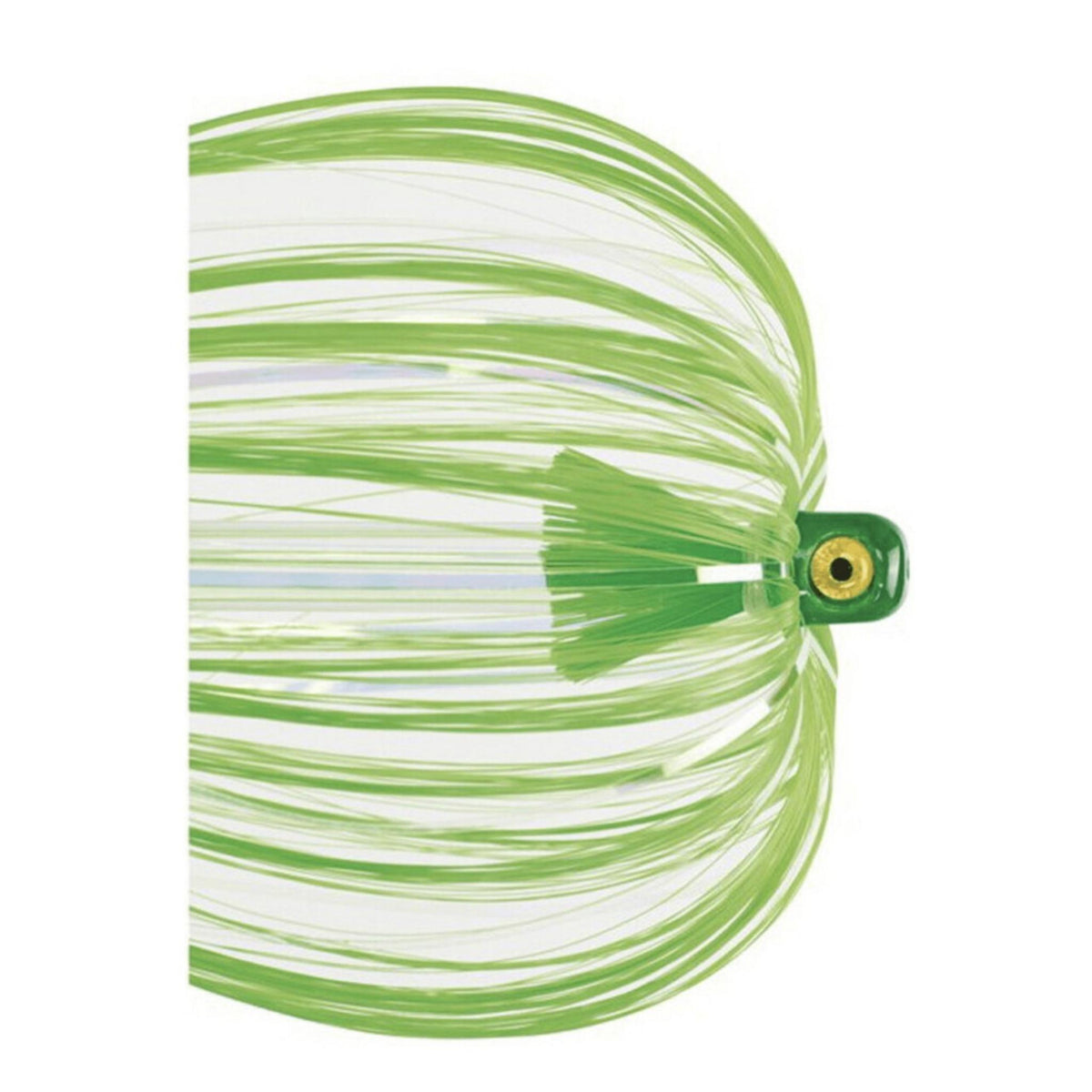 Iland Witch Flash Series