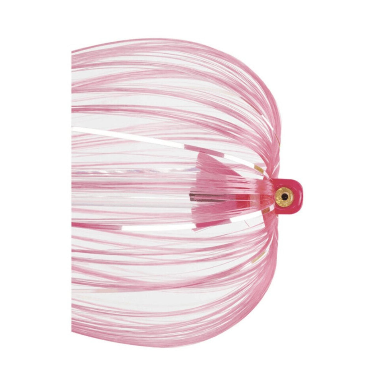 Iland Witch Flash Series