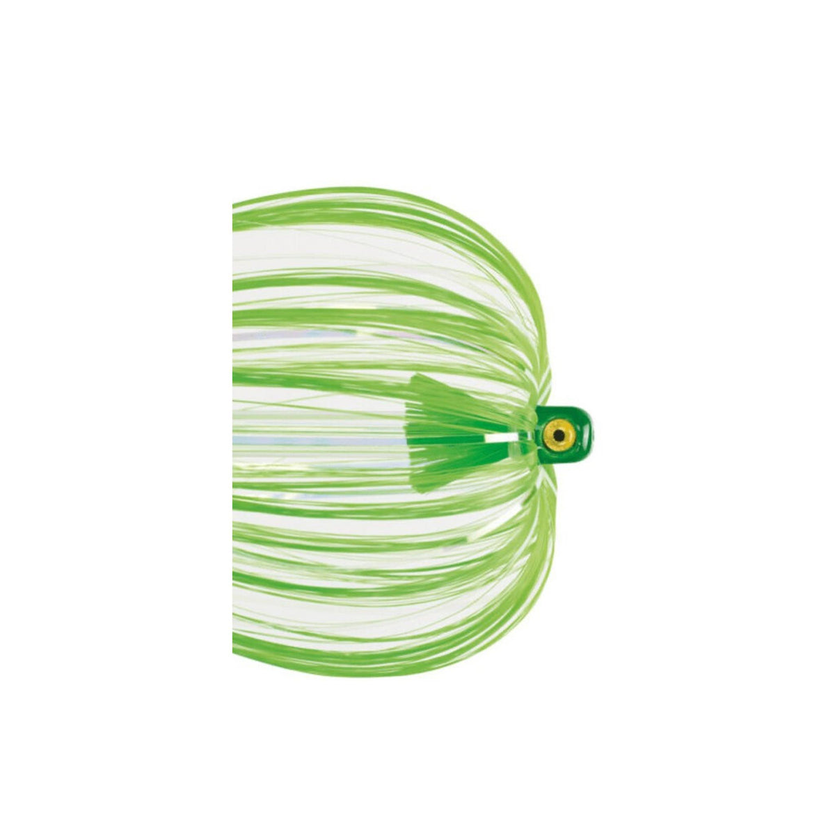 Iland Witch Flash Series