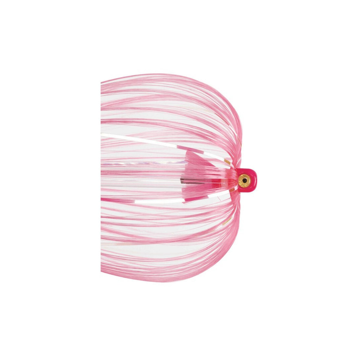 Iland Witch Flash Series