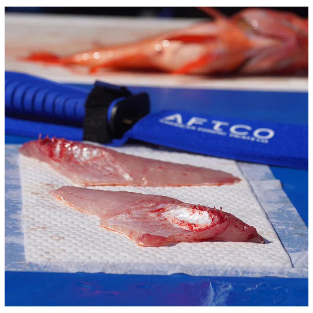AFTCO Fish Fillet Absorbent Pads