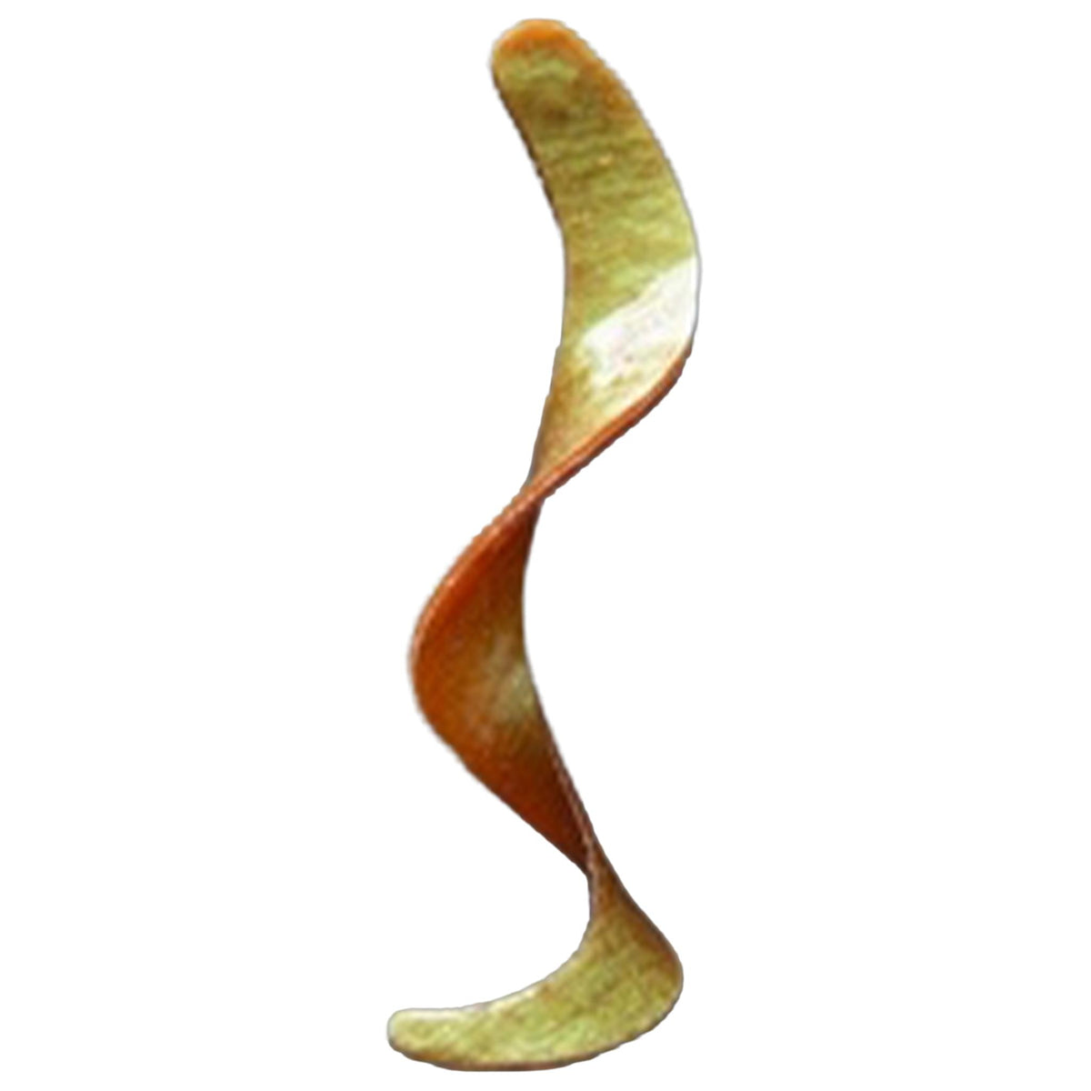 Otter Tails Curly Long