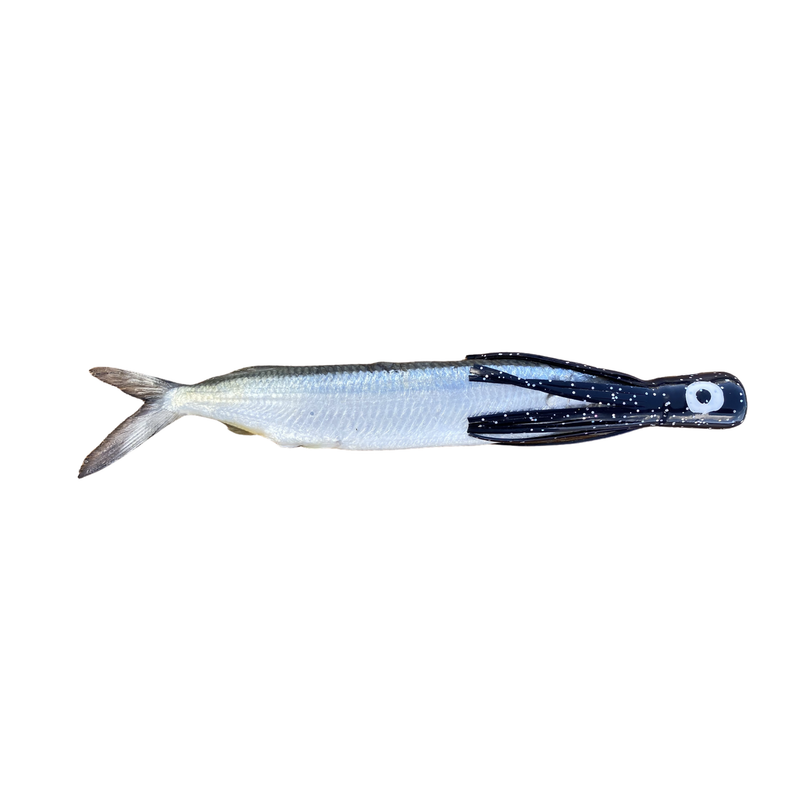 Fish Downsea Chugger Heads