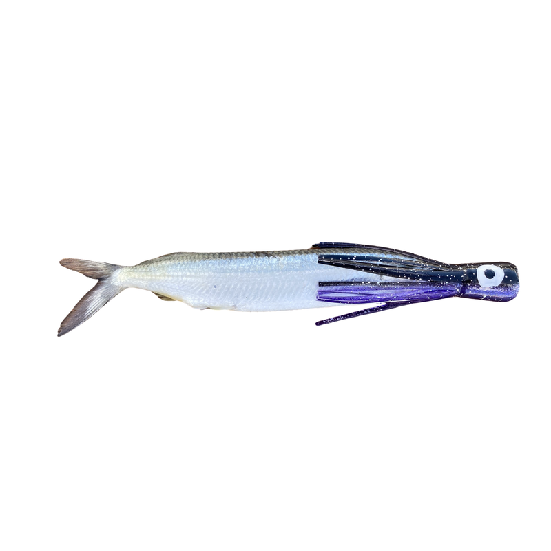 Fish Downsea Chugger Heads