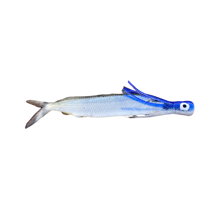 Fish Downsea Chugger Heads