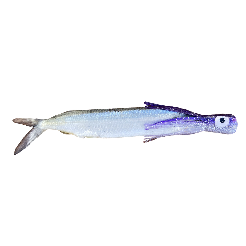 Fish Downsea Chugger Heads