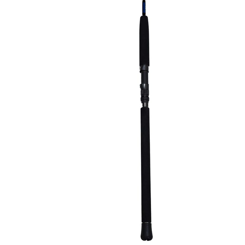 J&B Custom RonZ Spinning Rod