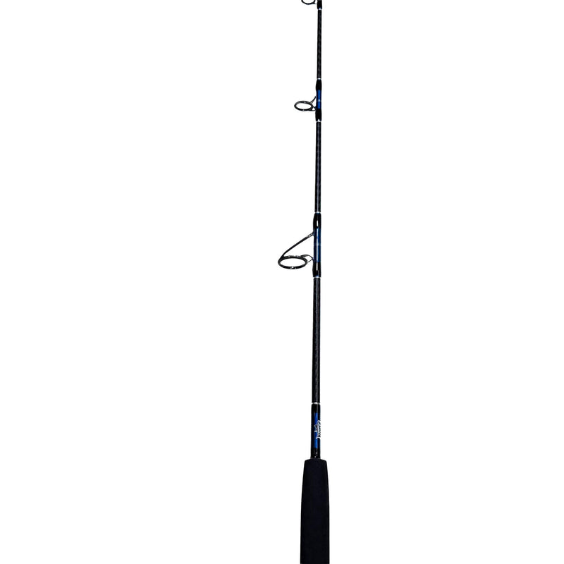J&B Custom RonZ Spinning Rod