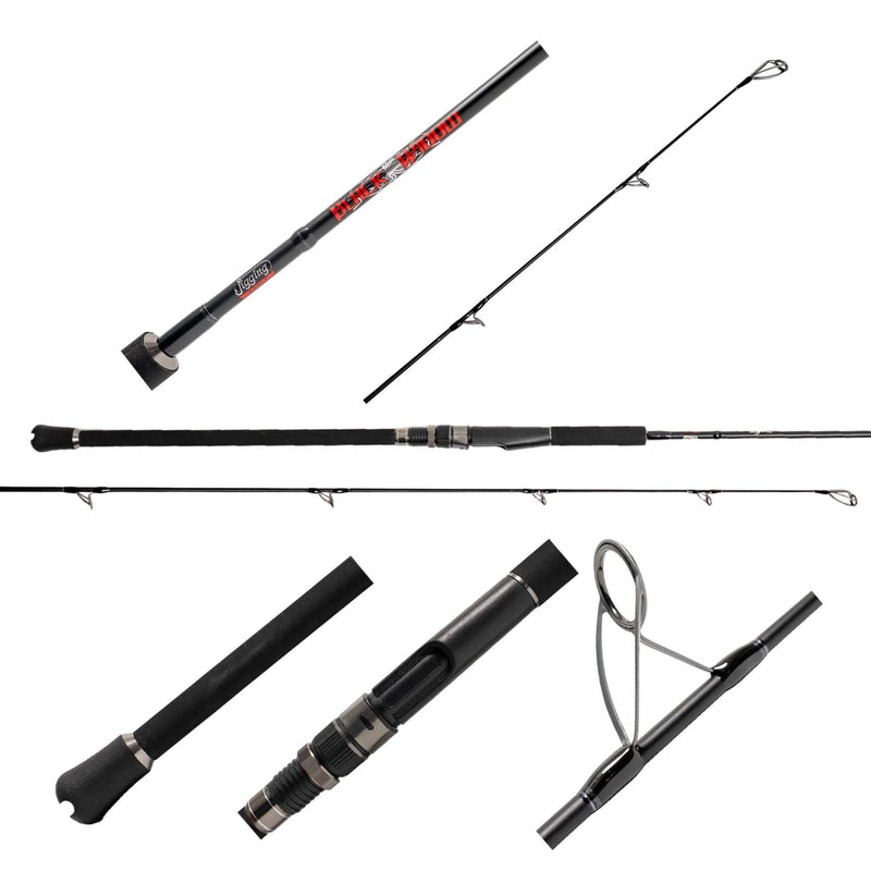 Jigging World Black Widow 2.0 Shore Series Surf Spinning Rods