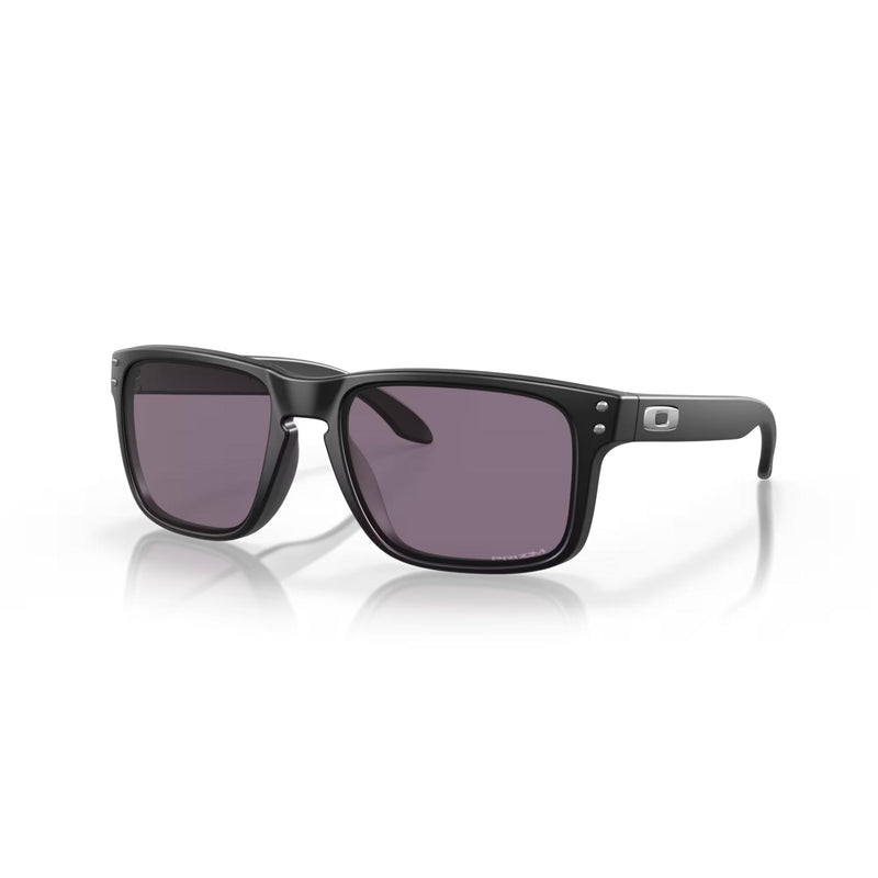 Oakley Holbrook Sunglasses