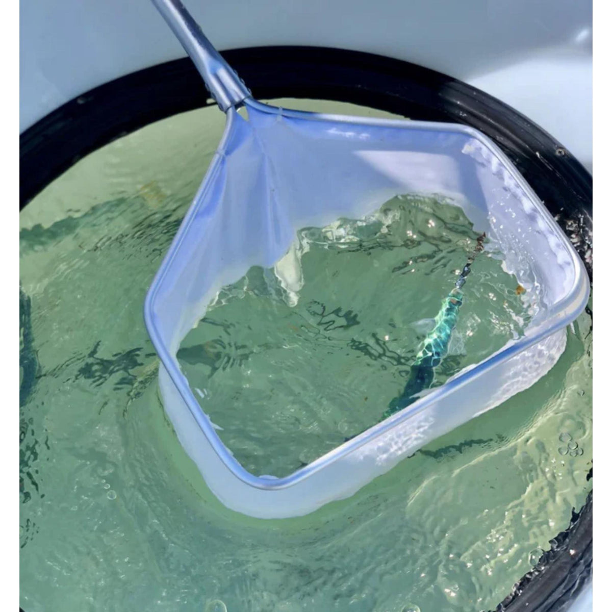 R&R Tackle "Wet Net" Livewell Bait Net Medium w/ Extendable Handle