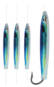 Blue Mackerel