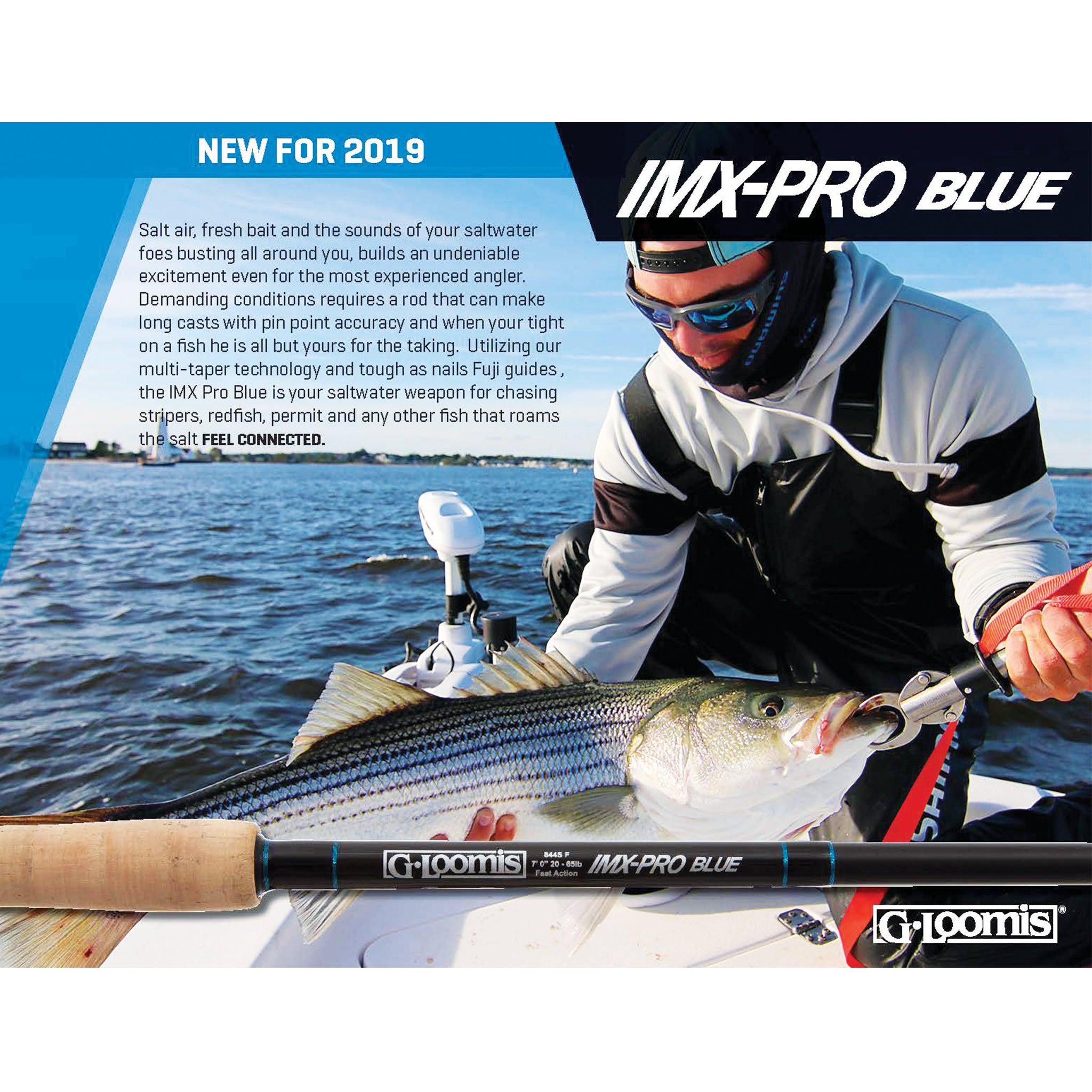 Loomis IMX Pro Blue Spinning Rods - Main Image